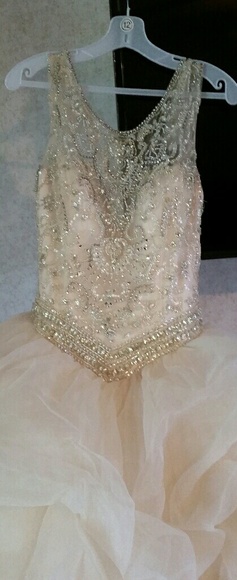 15 dress , quincenera dress - Picture 4 of 5
